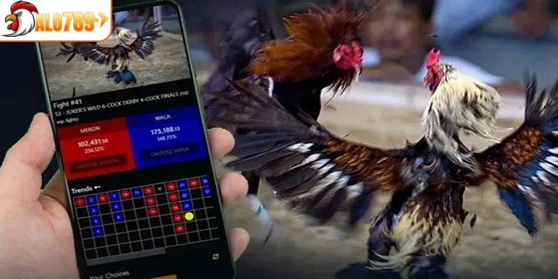 4 bước để tham gia đặt cược CPC1 tại ALO789