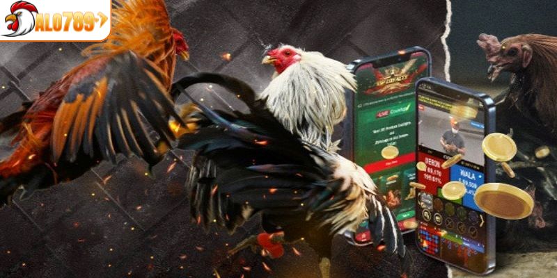 Ưu điểm nổi bật của đá gà CPC2 tại ALO789
